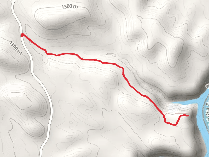 Lower Layout Creek Trail