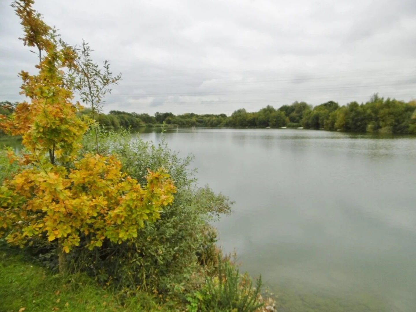 An image depicting the trail Testwood Lakes Loop and its surrounding area.