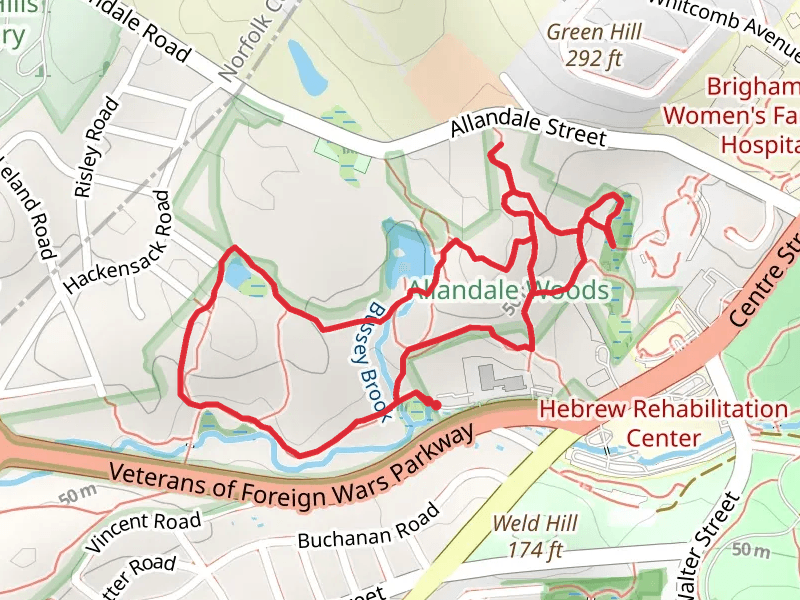 Allandale Woods Iii Loop