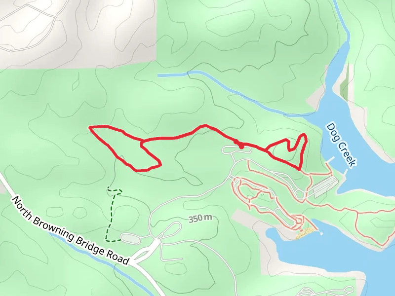 Woodland Trail Knot