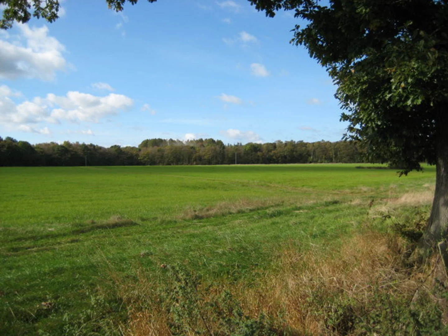 An image depicting the trail Chipnall and Almington Loop and its surrounding area.