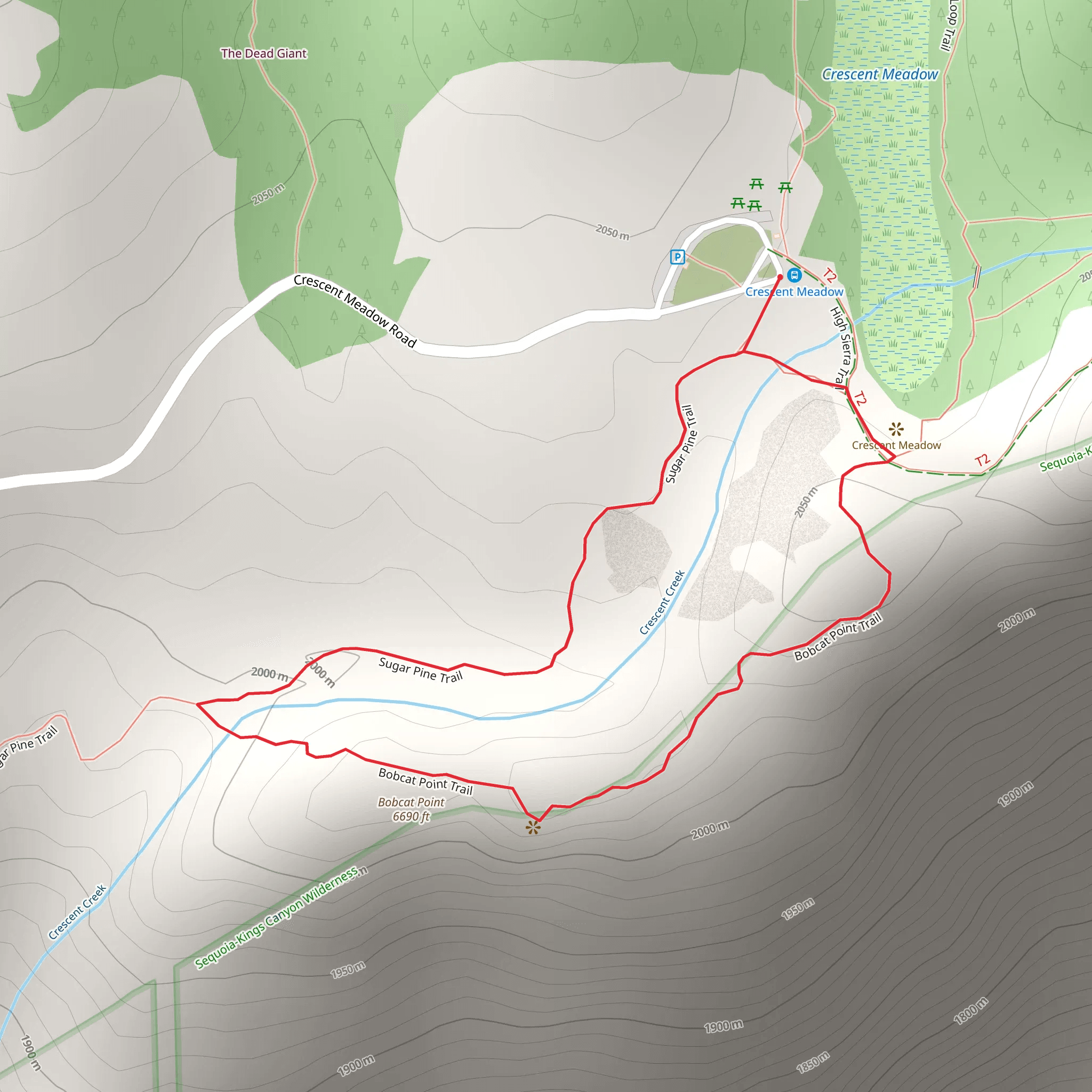 Bobcat Point and Sugar Pine Loop Trail mobile static map