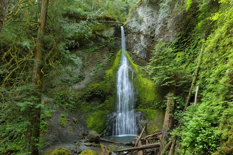 Aurora Divide via Marymere Falls Nature Trail
