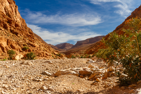 Todra Gorges Loop