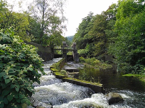 Oker via Harzklub Weg and Sülpkeweg