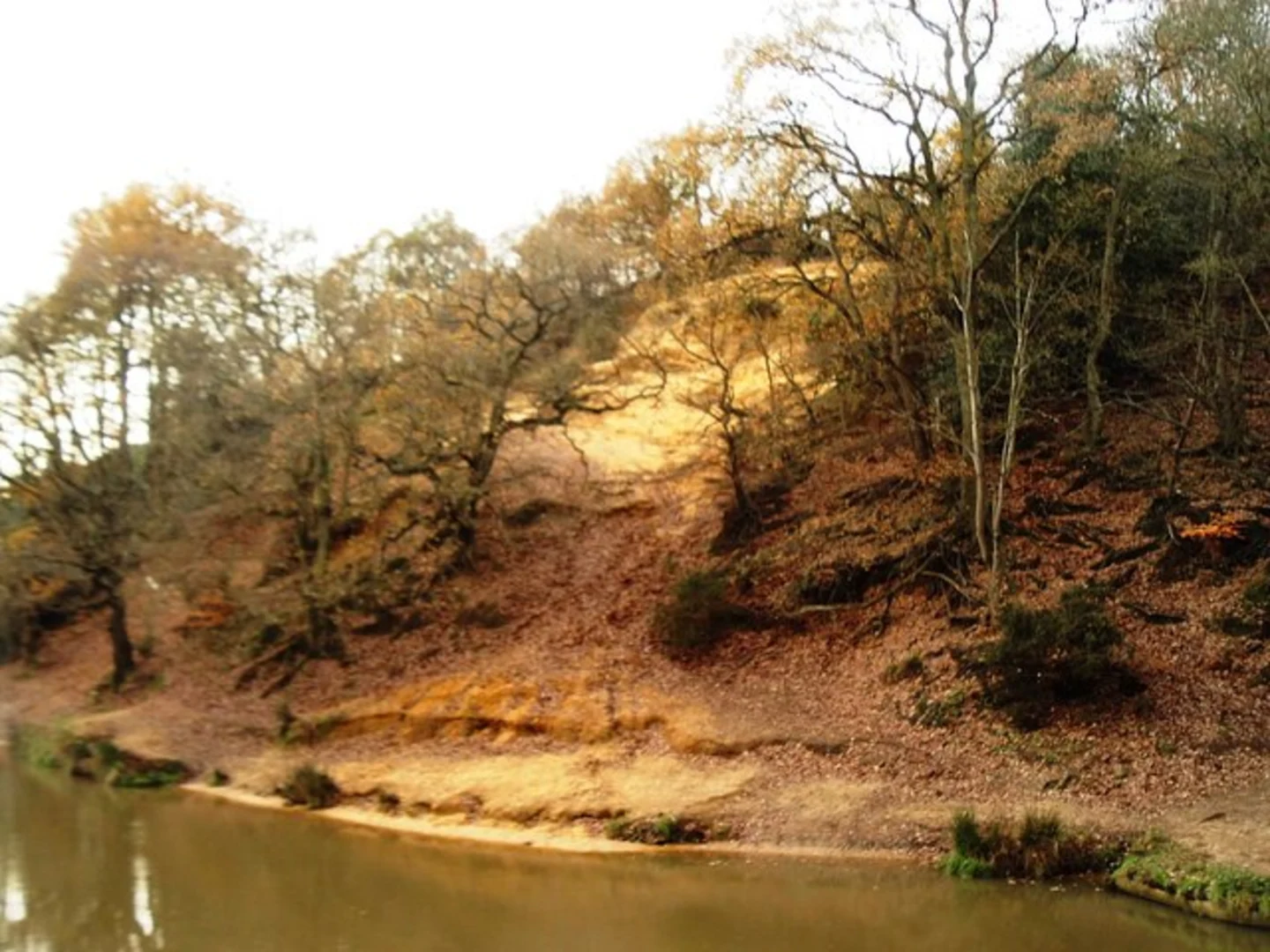 An image depicting the trail Guildford Loop and its surrounding area.