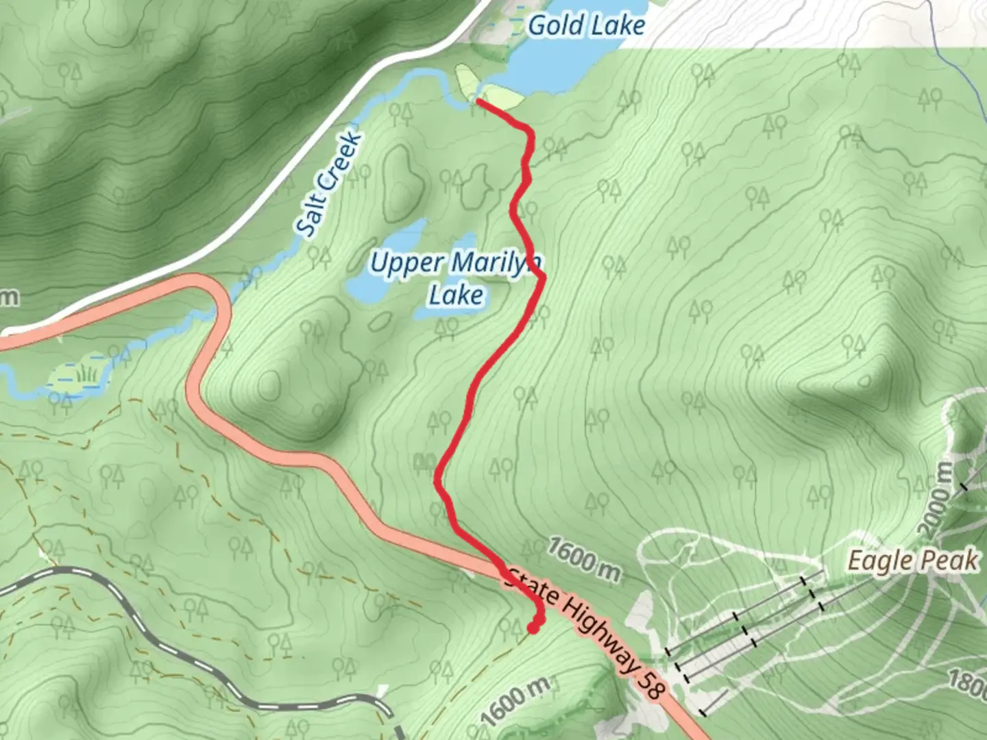 An image depicting the trail Gold Lake Out and Back and its surrounding area.
