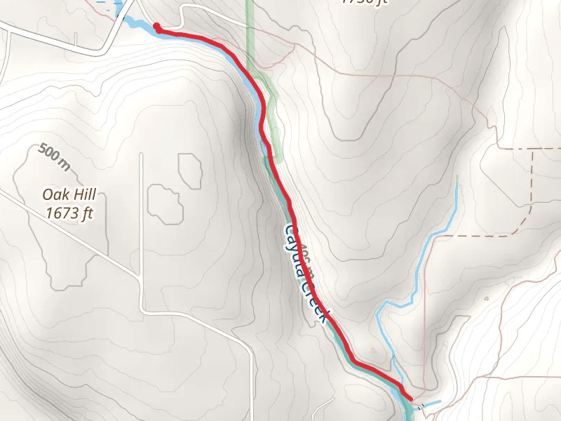 Cayuta Creek Trail