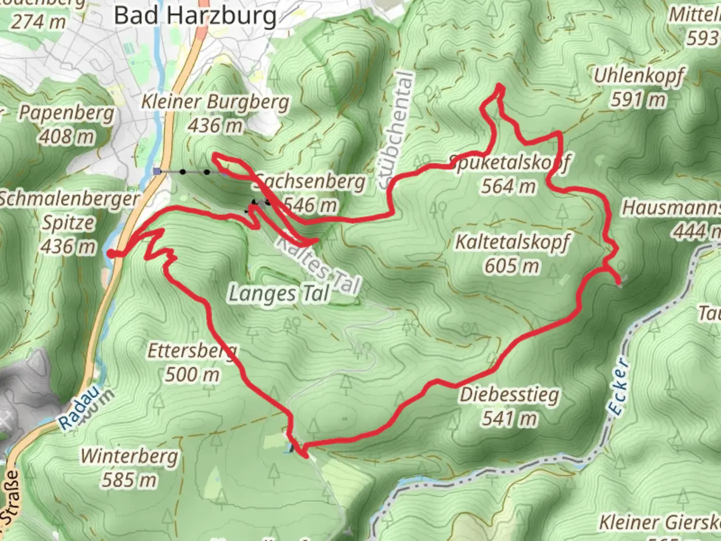An image depicting the trail Hasselteich, Tiefe Kohlstelle and Burgberg Loop and its surrounding area.