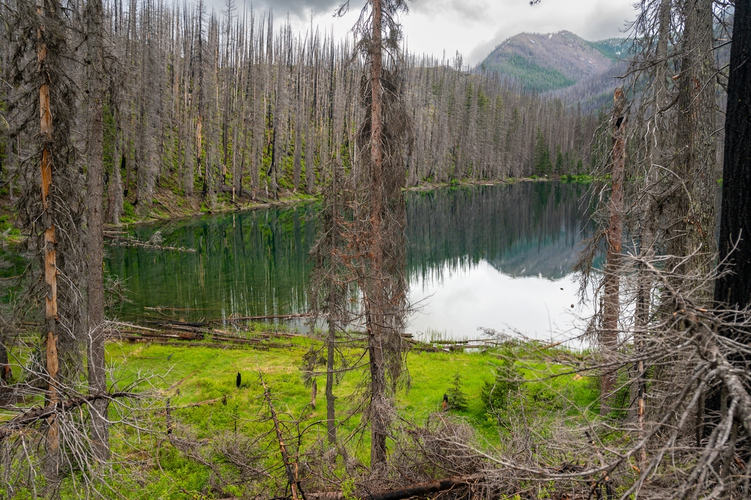 Cow Creek Meadows via Ice Creek Trail