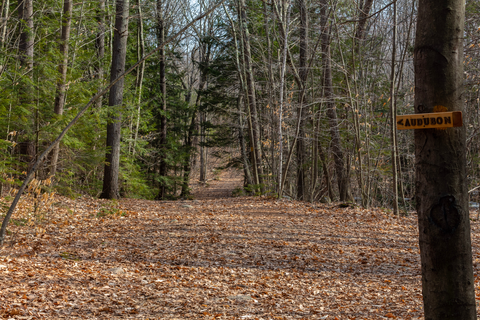 Rockingham Recreational Rail Trail - Portsmouth Branch