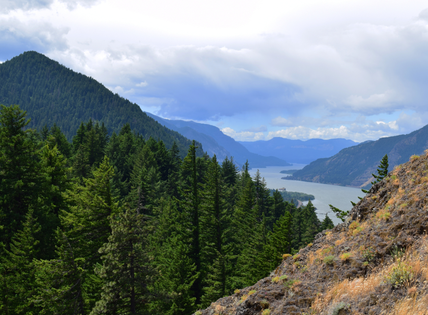 An image depicting the trail Mitchell Point Trail and its surrounding area.