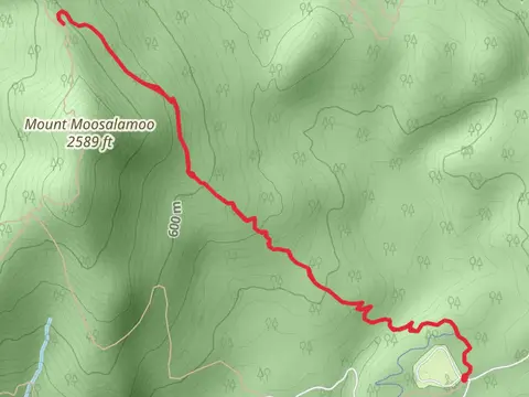 Mount Moosalamoo Trail