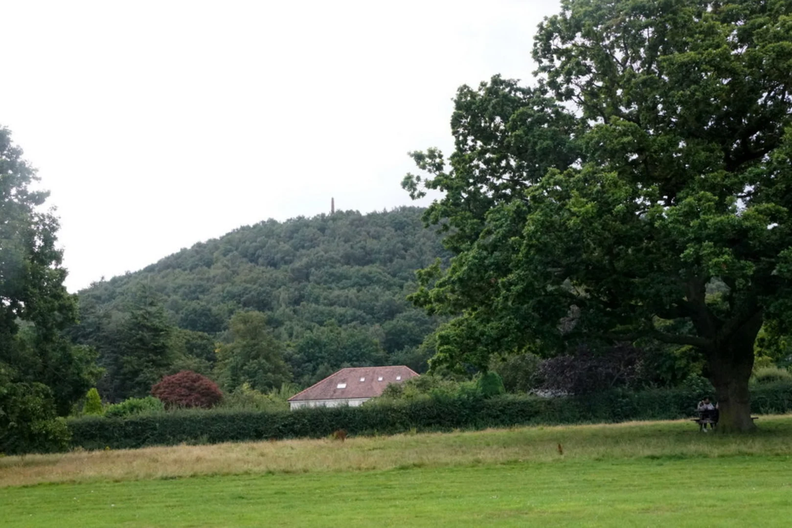 An image depicting the trail Frodsham Hill Loop and its surrounding area.
