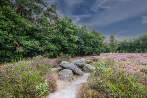 Schietbaan Bos, Valtherbos and Heidehiem Loop
