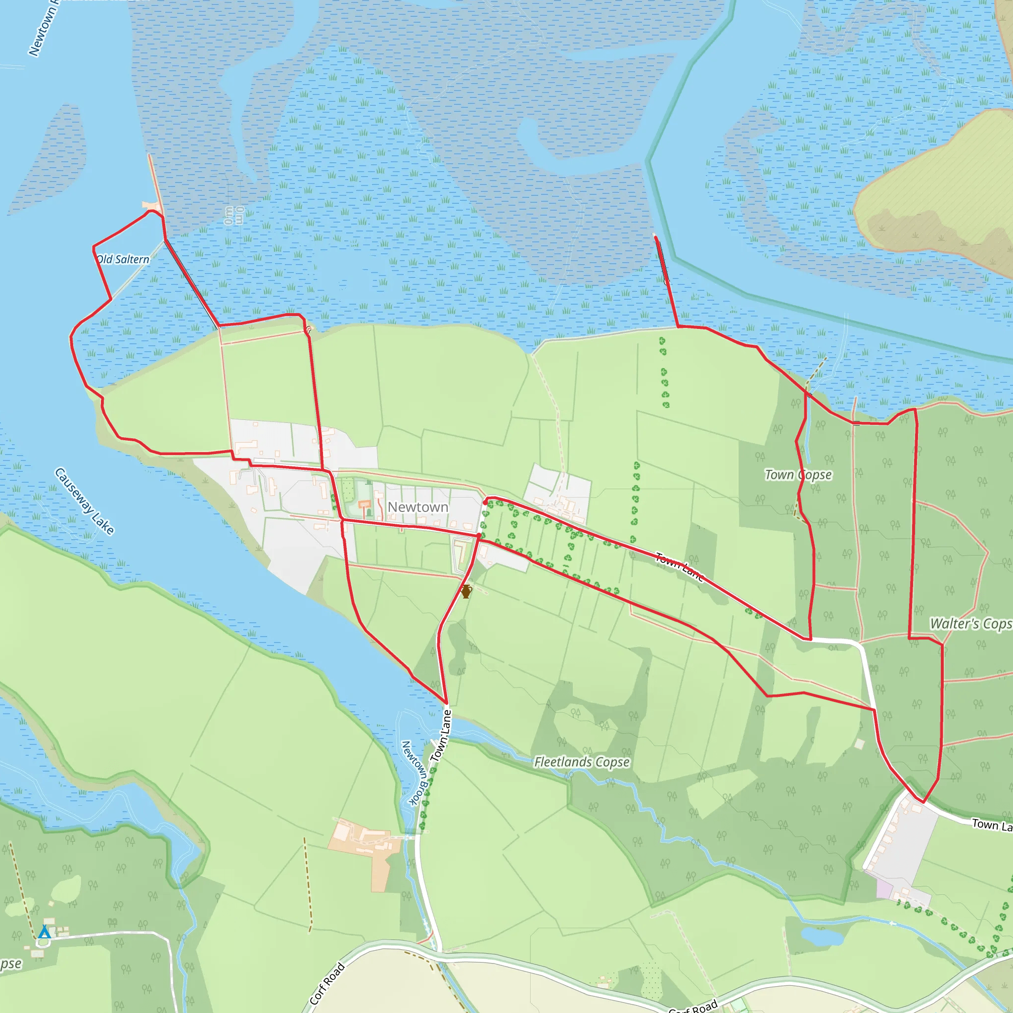 Newtown Walk mobile static map