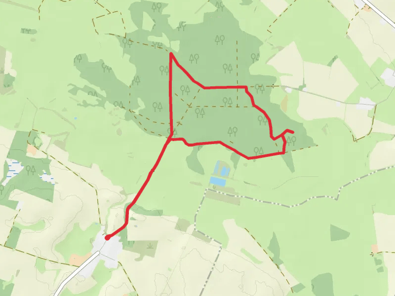 Steintanz von Netzeband Loop