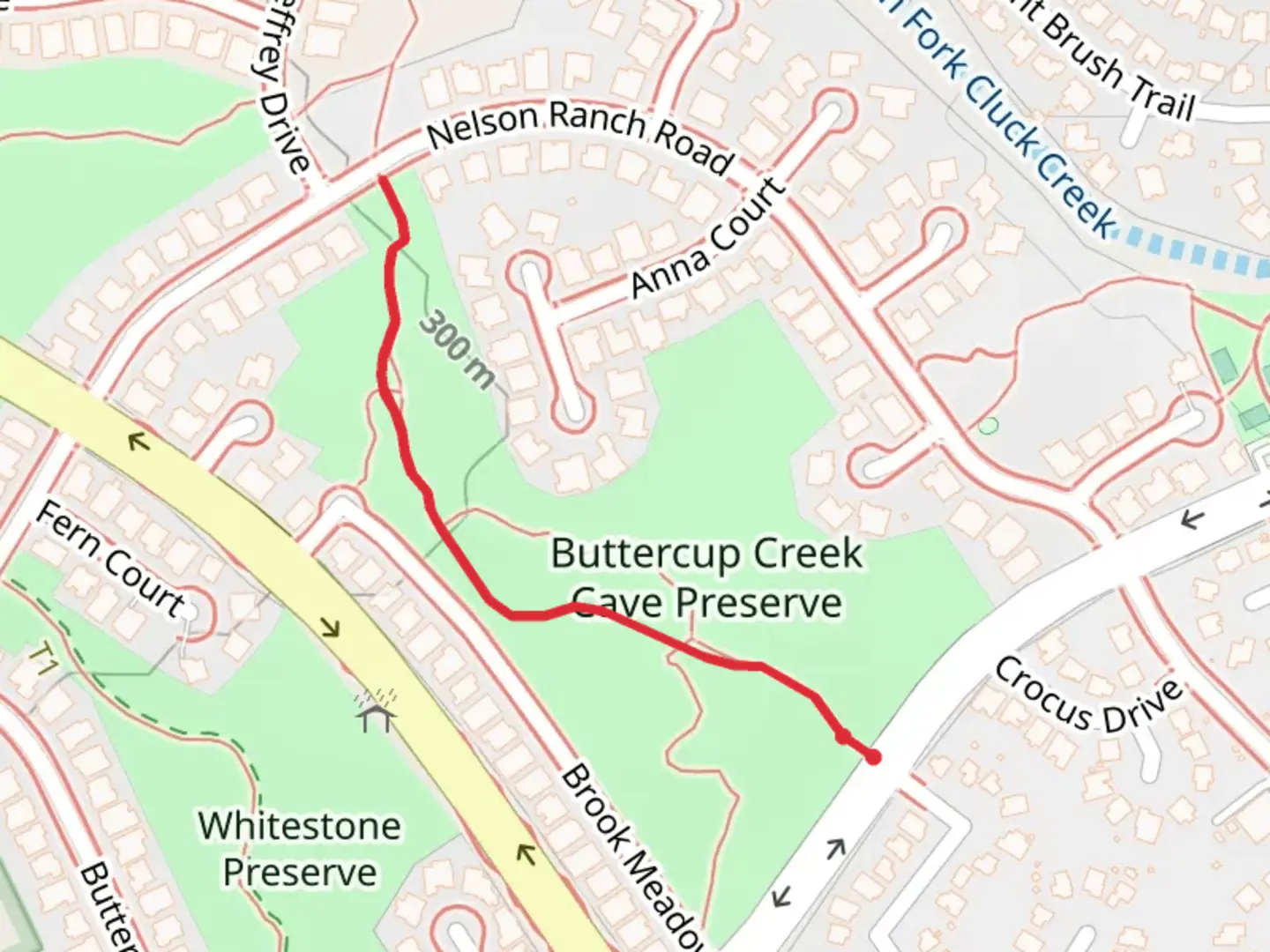 An image depicting the trail Cedar Elm Preserve Trail and its surrounding area.