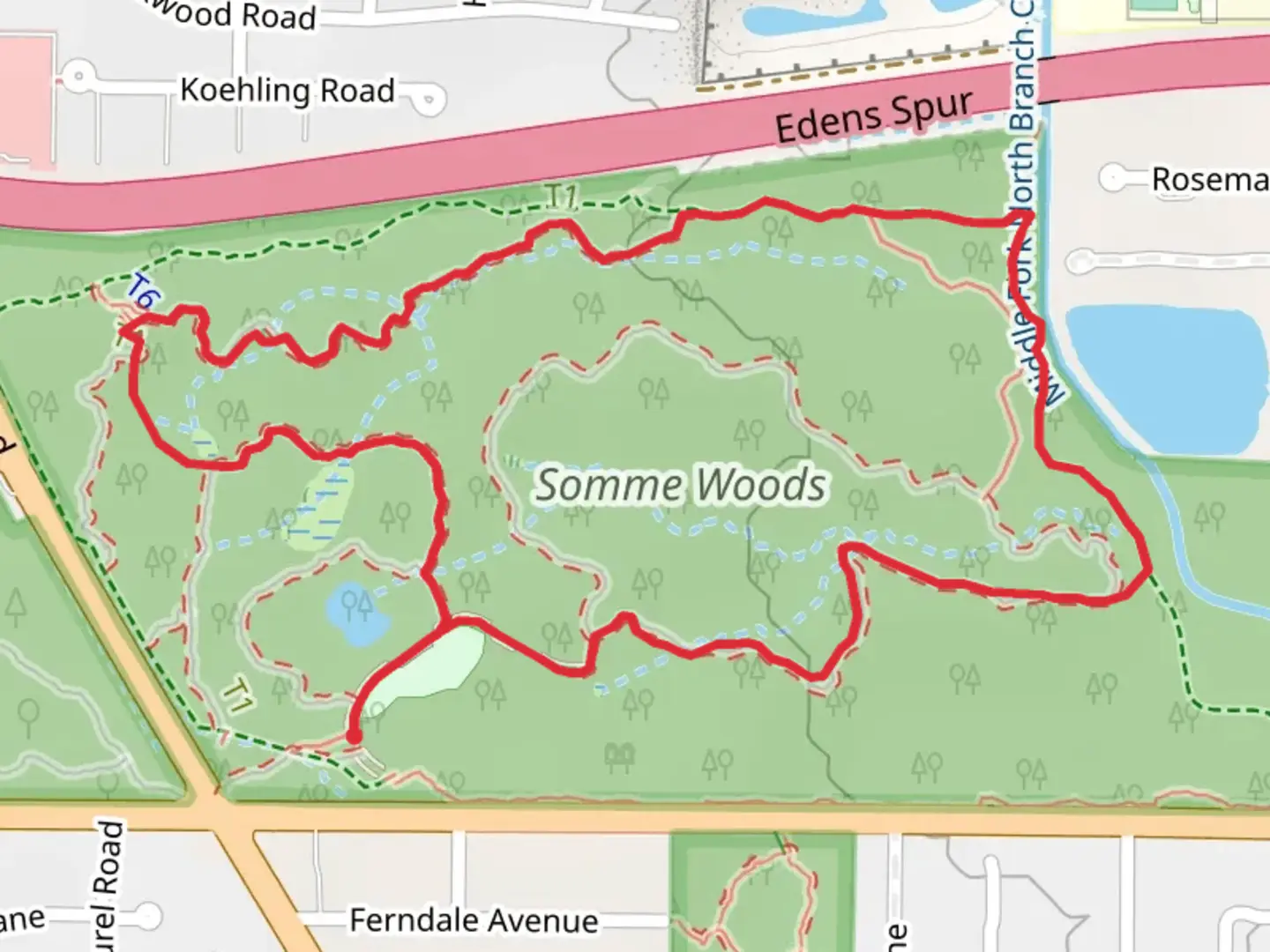 An image depicting the trail Middle Loop and North Branch Green Trail and its surrounding area.