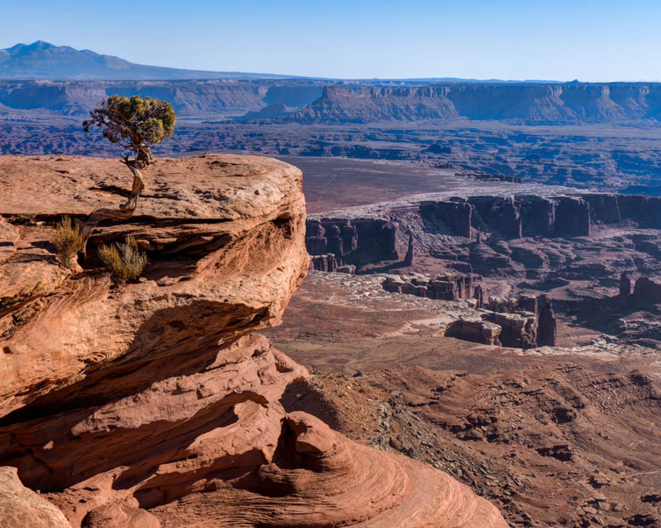 An image depicting the trail Grand View Point Trail and its surrounding area.