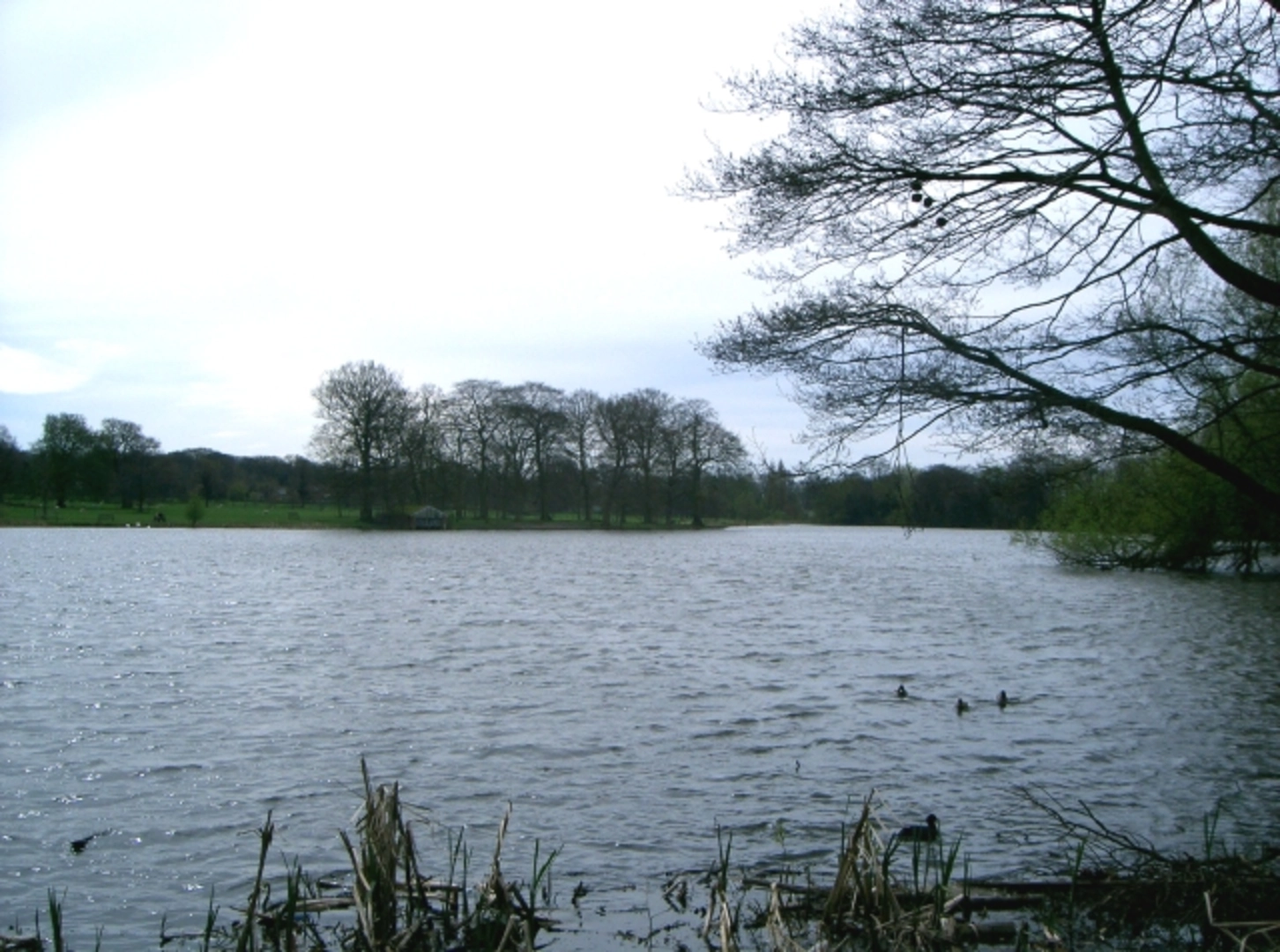 An image depicting the trail Poynton Lake and Higher Poynton Loop and its surrounding area.