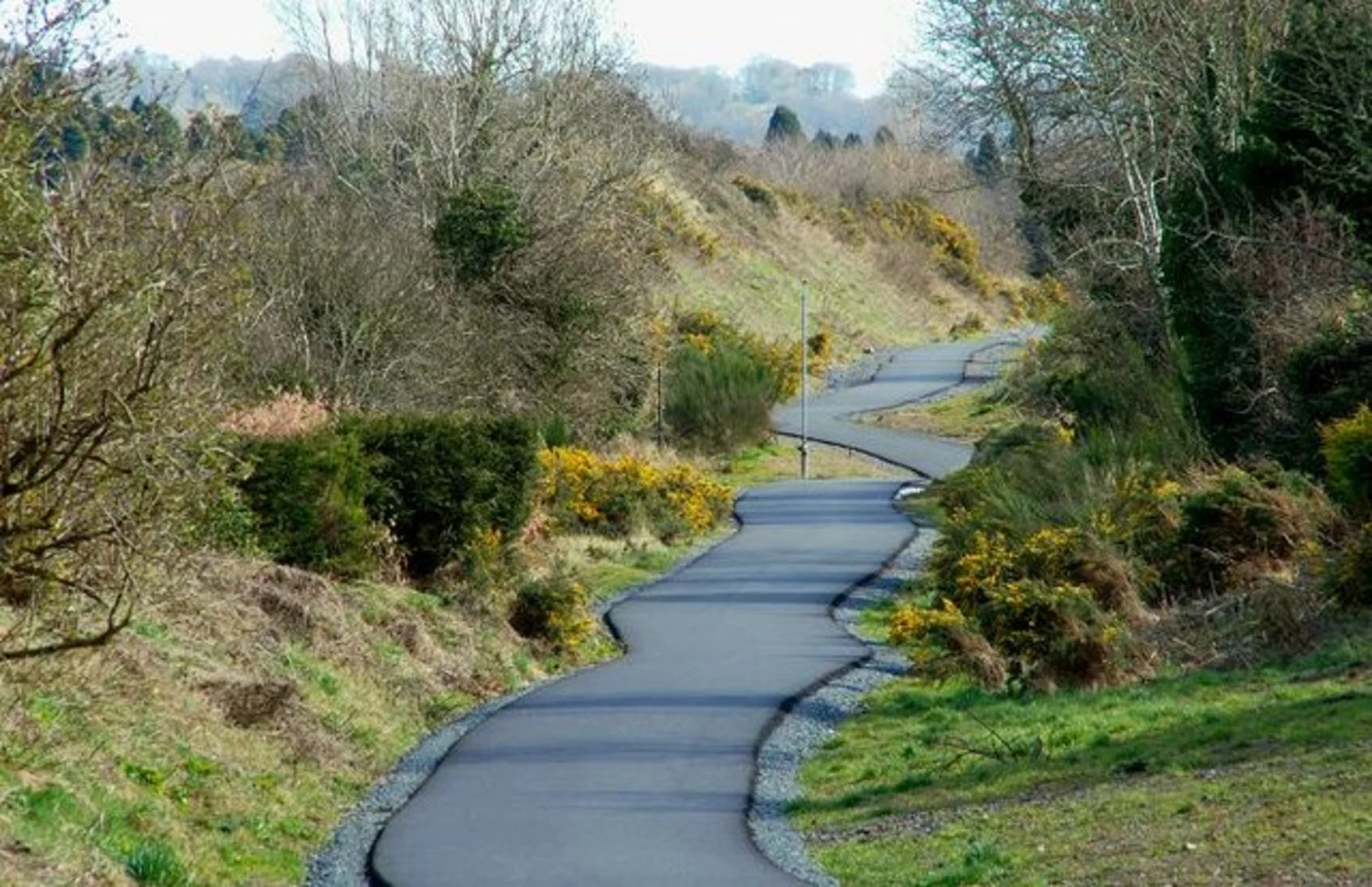 An image depicting the trail Comber Greenway and its surrounding area.