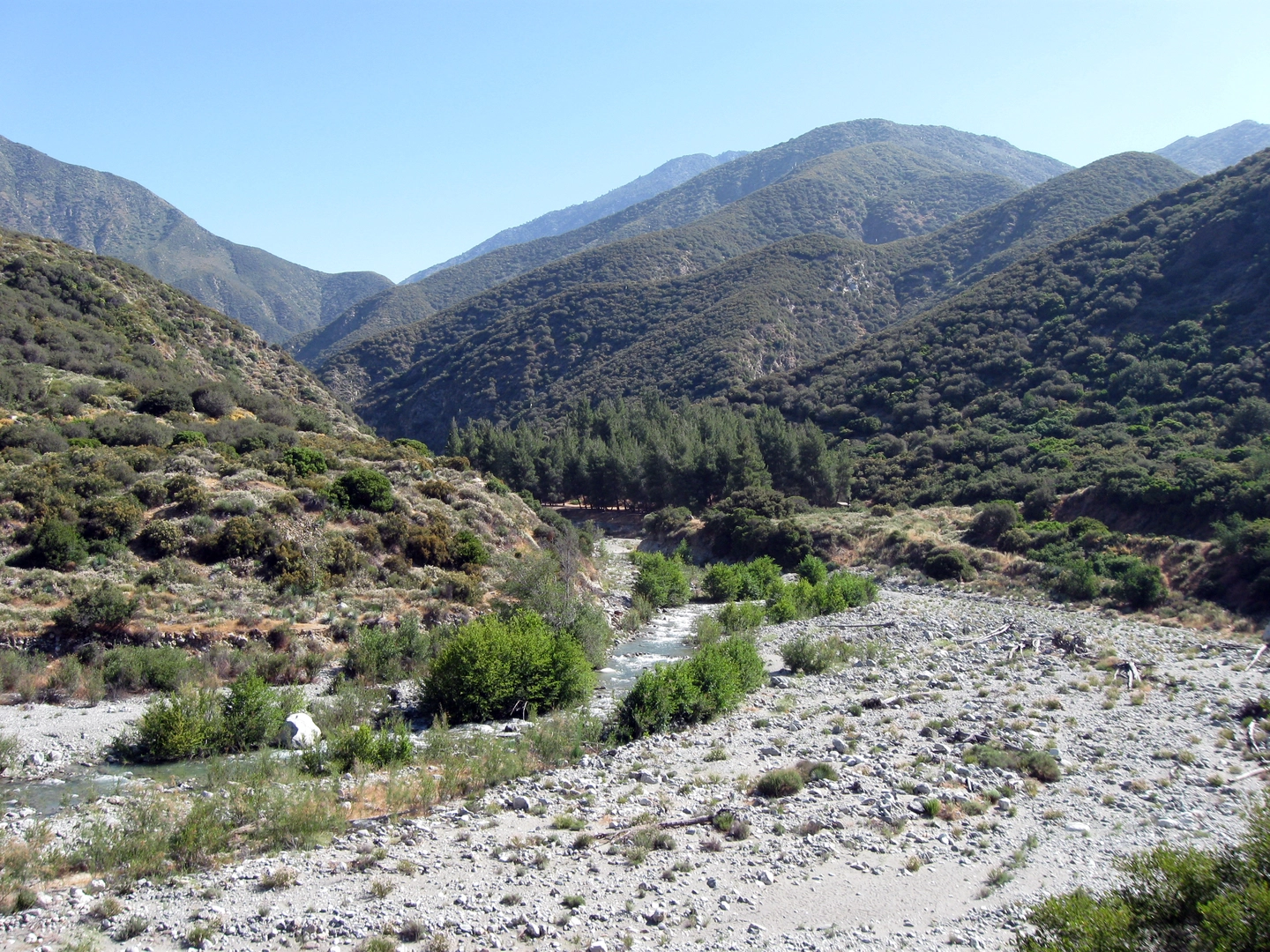 An image depicting the trail Iron Mountain, Mount San Antonio via Baldy Bowl Trail and its surrounding area.
