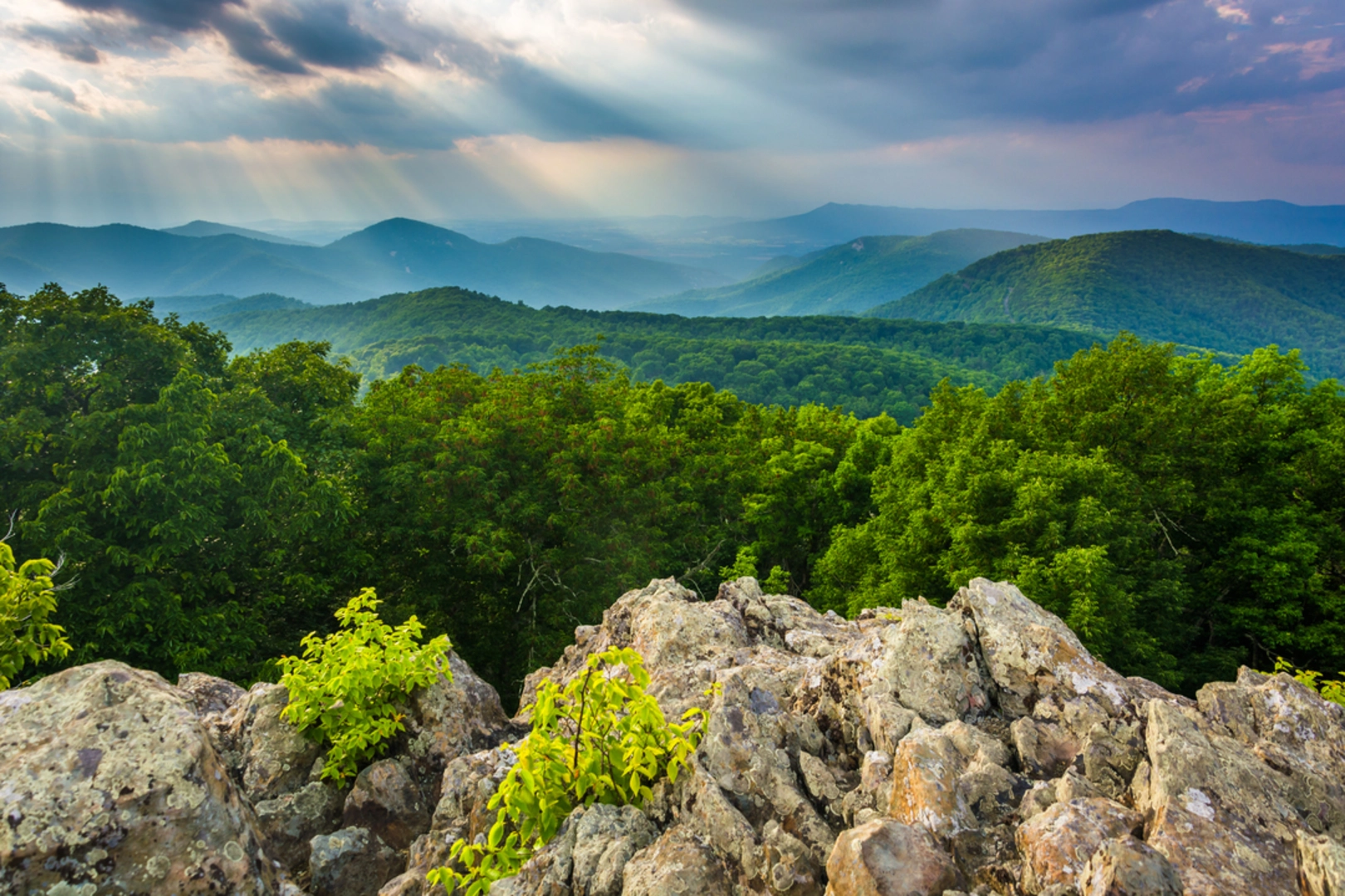 An image depicting the trail Simmons Gap Road Trail and its surrounding area.
