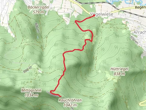 Steinbühler Gesenke Walk via Voelwiese
