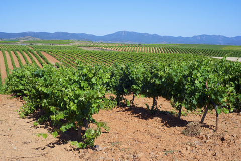 Paniza - Tour of the Vigen del Aguila hermitage PR Z 46