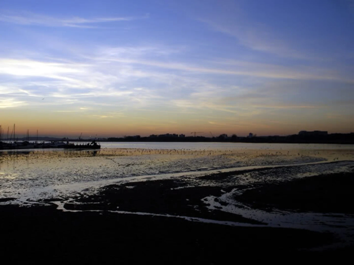 An image depicting the trail Baiter Park, Whitecliff Park and Parkstone Bay Walk and its surrounding area.