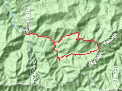 Dripping Spring Mountain via Middle Prong Loop Trail
