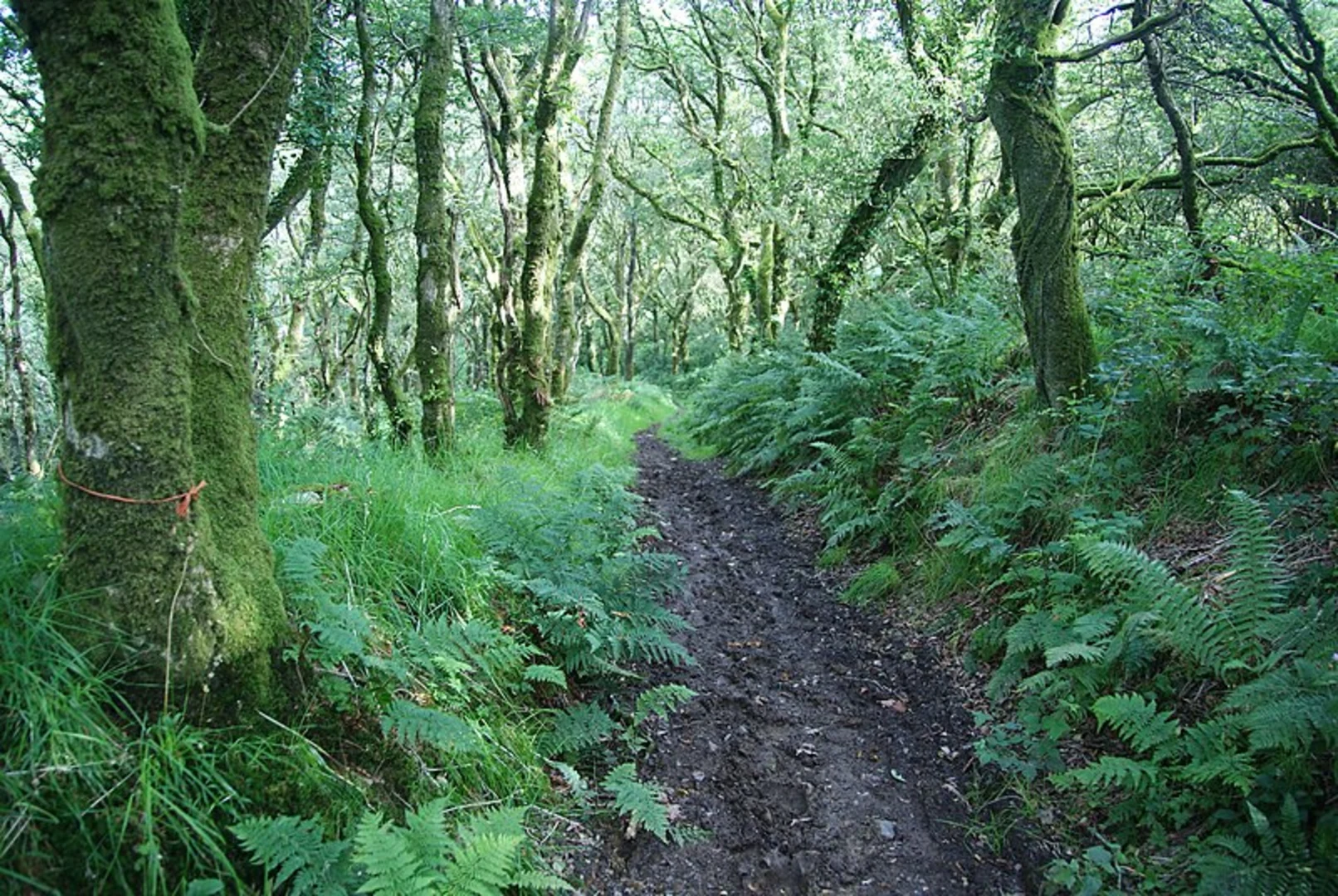 An image depicting the trail Pontfaen - Tregynon and its surrounding area.