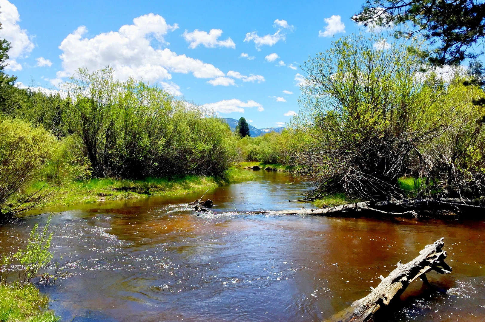 An image depicting the trail Corral and Armstrong Connector Trail and its surrounding area.