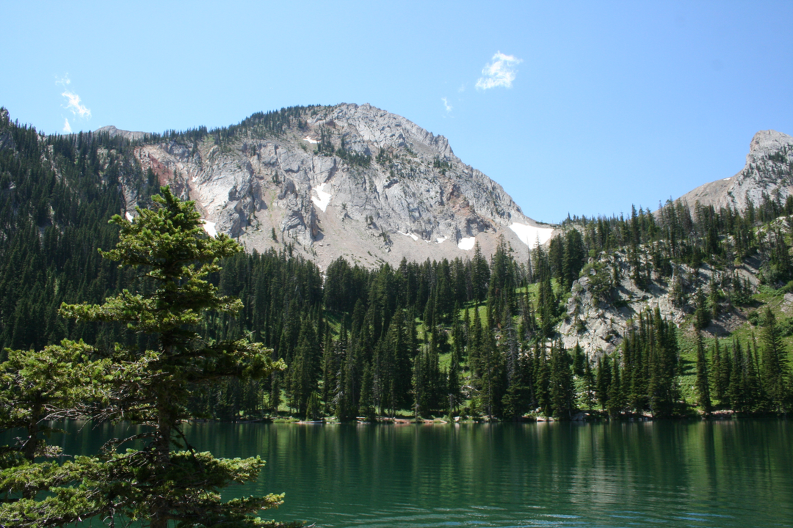 An image depicting the trail Sacagawea Pass and Peak and its surrounding area.