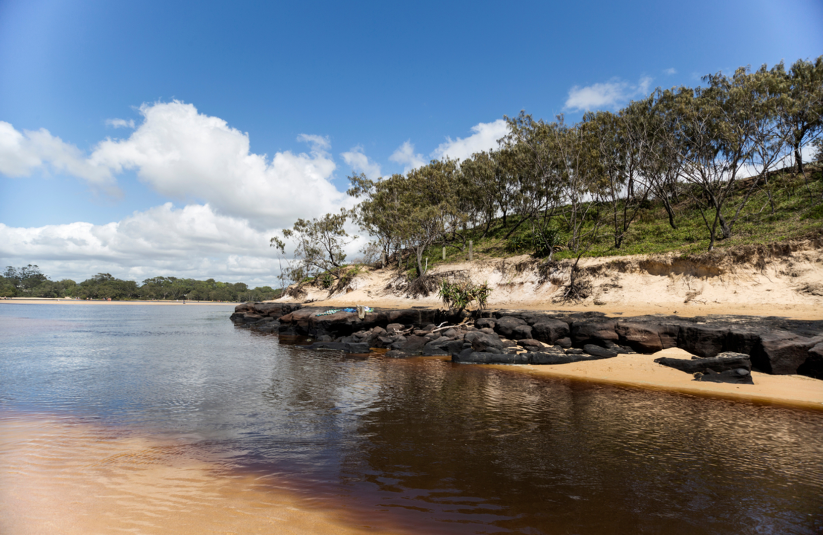 An image depicting the trail Beach Access Track and its surrounding area.