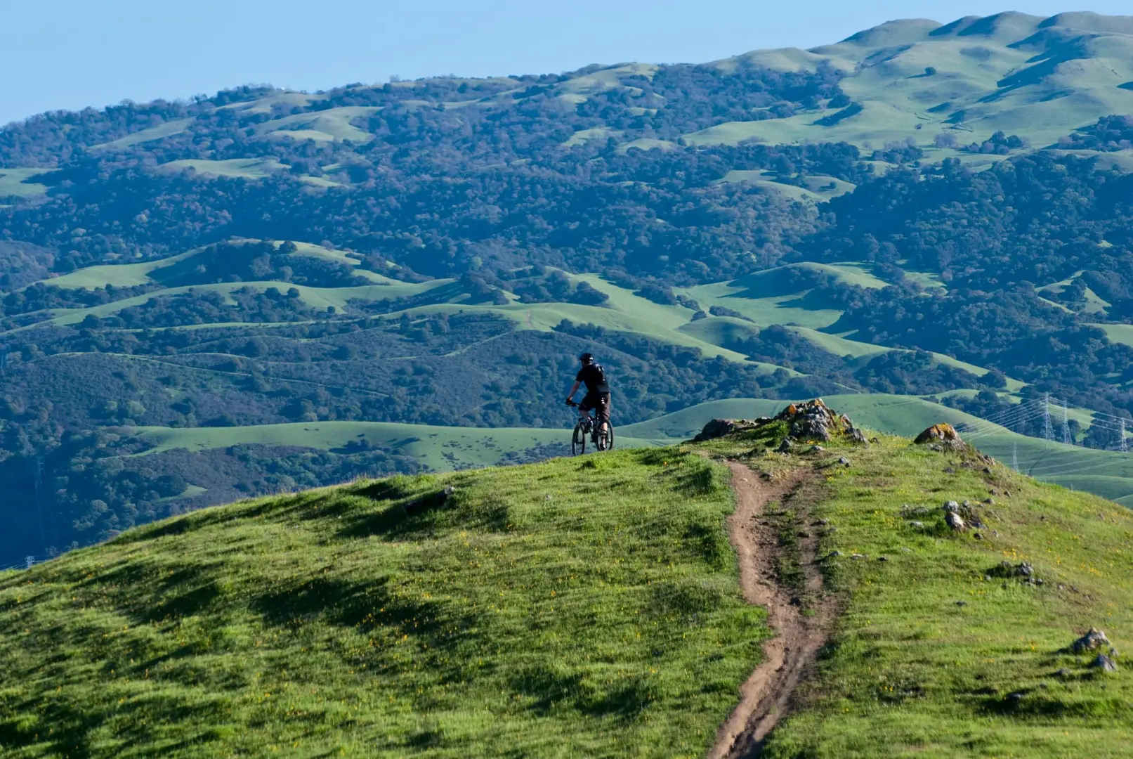 An image depicting the trail Golden Eagle, Blue Oak Knoll and Bay Leaf Loop Trail and its surrounding area.