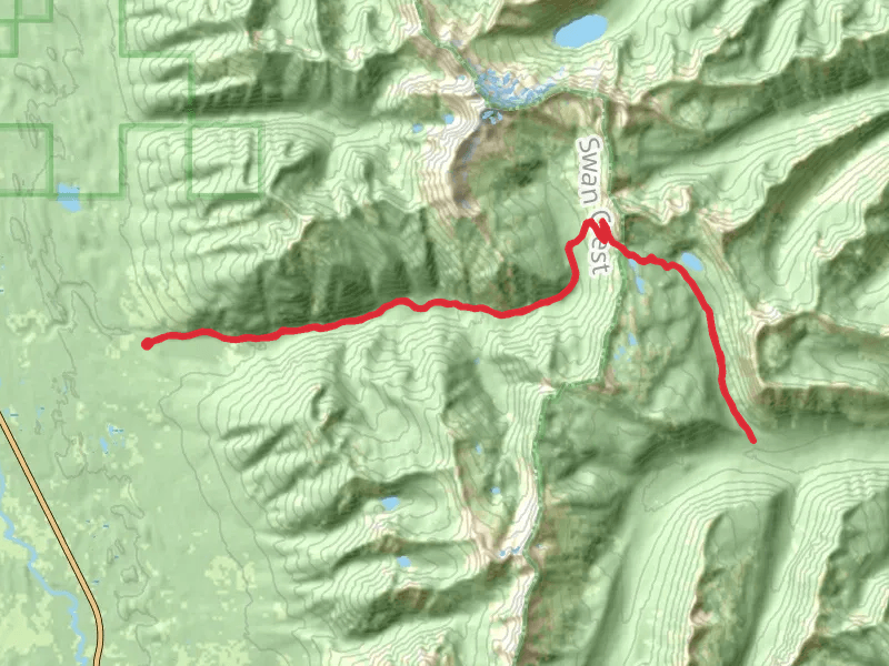 Lion - Palisade Trail