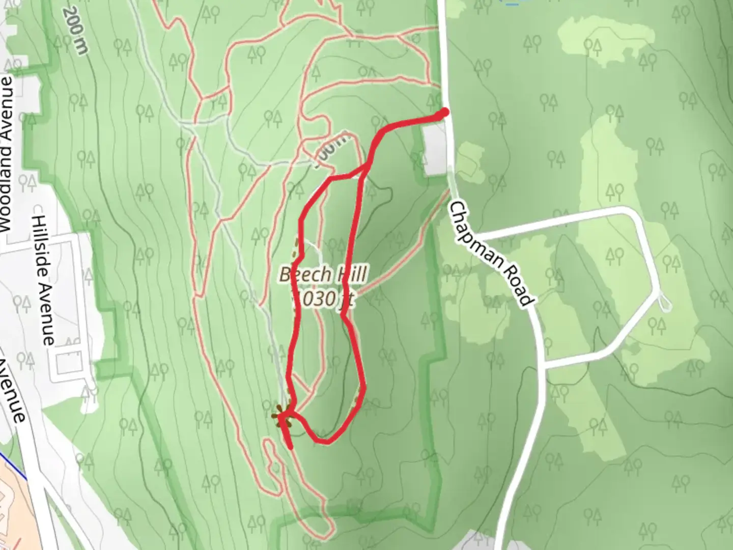 An image depicting the trail Beech Hill Loop from Chapman Road and its surrounding area.