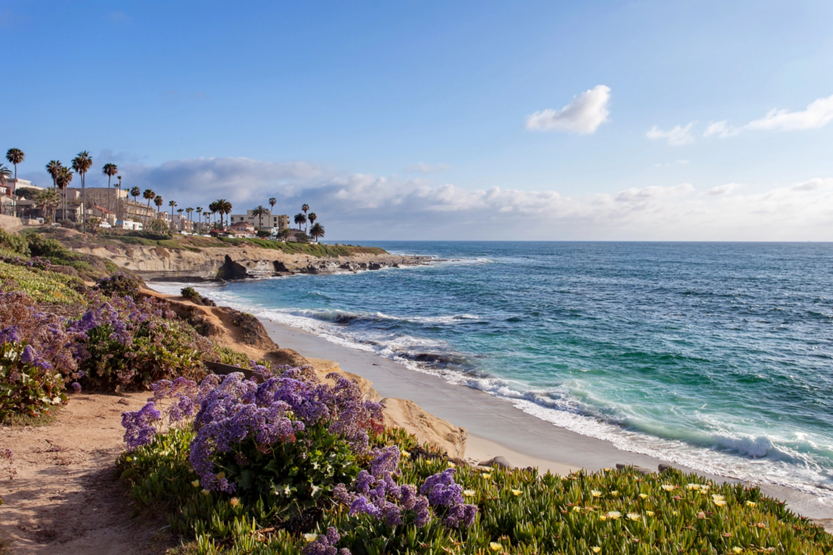 An image depicting the trail La Jolla Valley Loop Trail and its surrounding area.