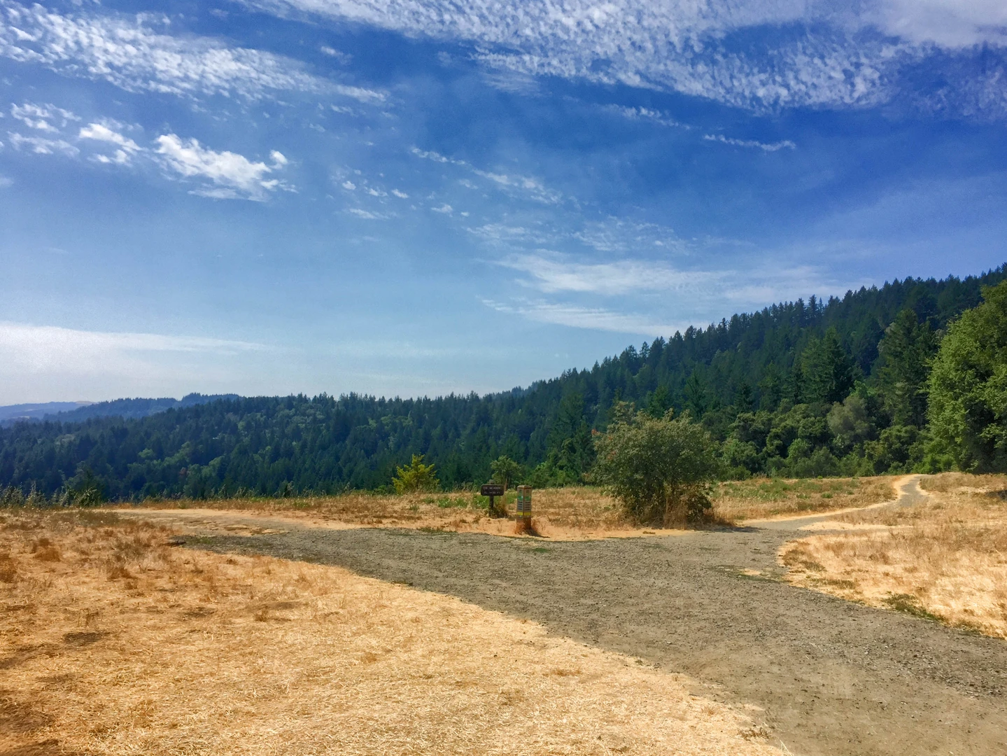 An image depicting the trail Madrone - Alambique Loop Trail and its surrounding area.