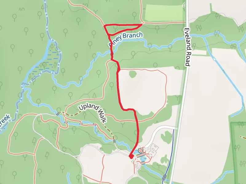 Piney Branch Loop via Nancy's Meadow Way