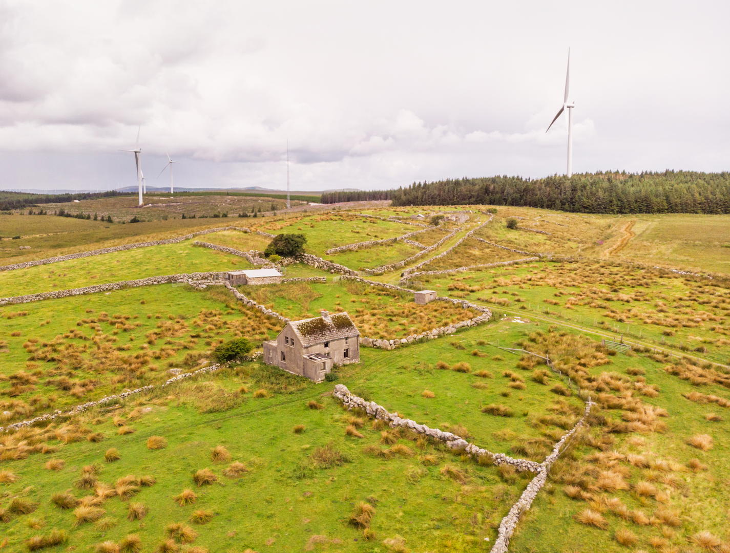 An image depicting the trail Moycullen - Maigh Cuilinn Heritage Trails - Sean Reilig Loop Walk and its surrounding area.