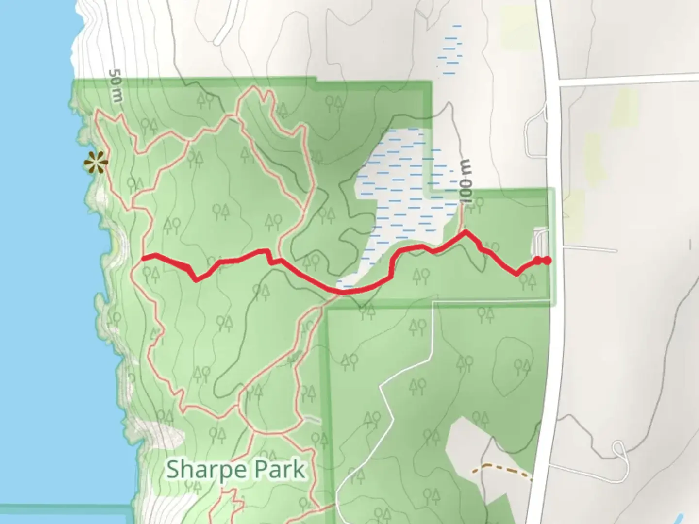 An image depicting the trail Madrone Trail and its surrounding area.