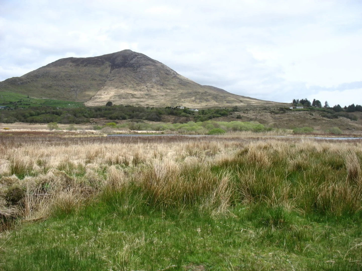 An image depicting the trail Knocklomena and its surrounding area.