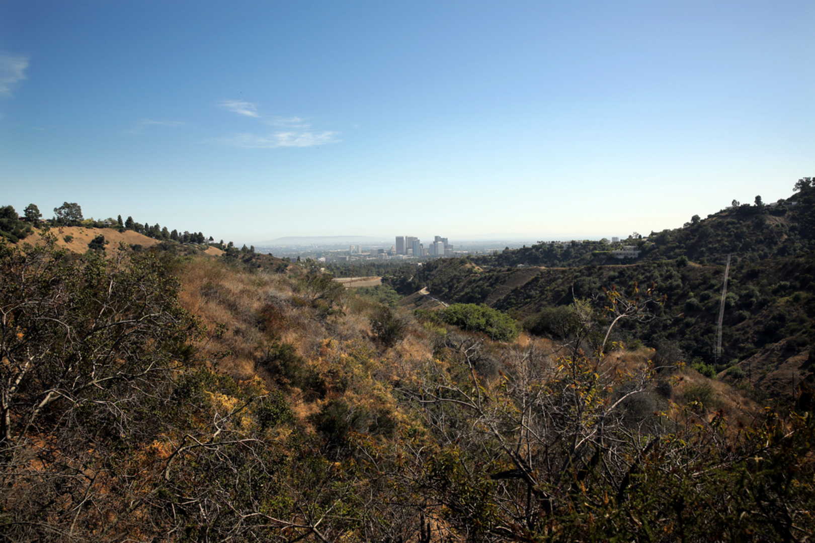 An image depicting the trail Discovery Trail and its surrounding area.