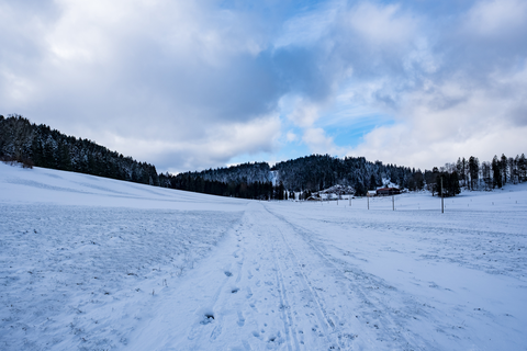 Saignelégier Trail