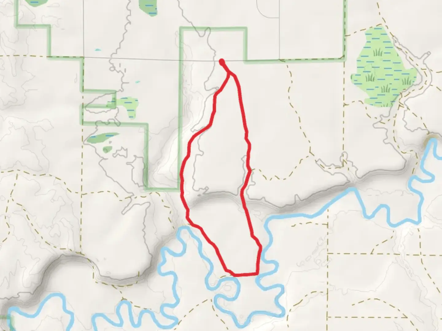 An image depicting the trail Anderson Creek and Manistee River Loop and its surrounding area.