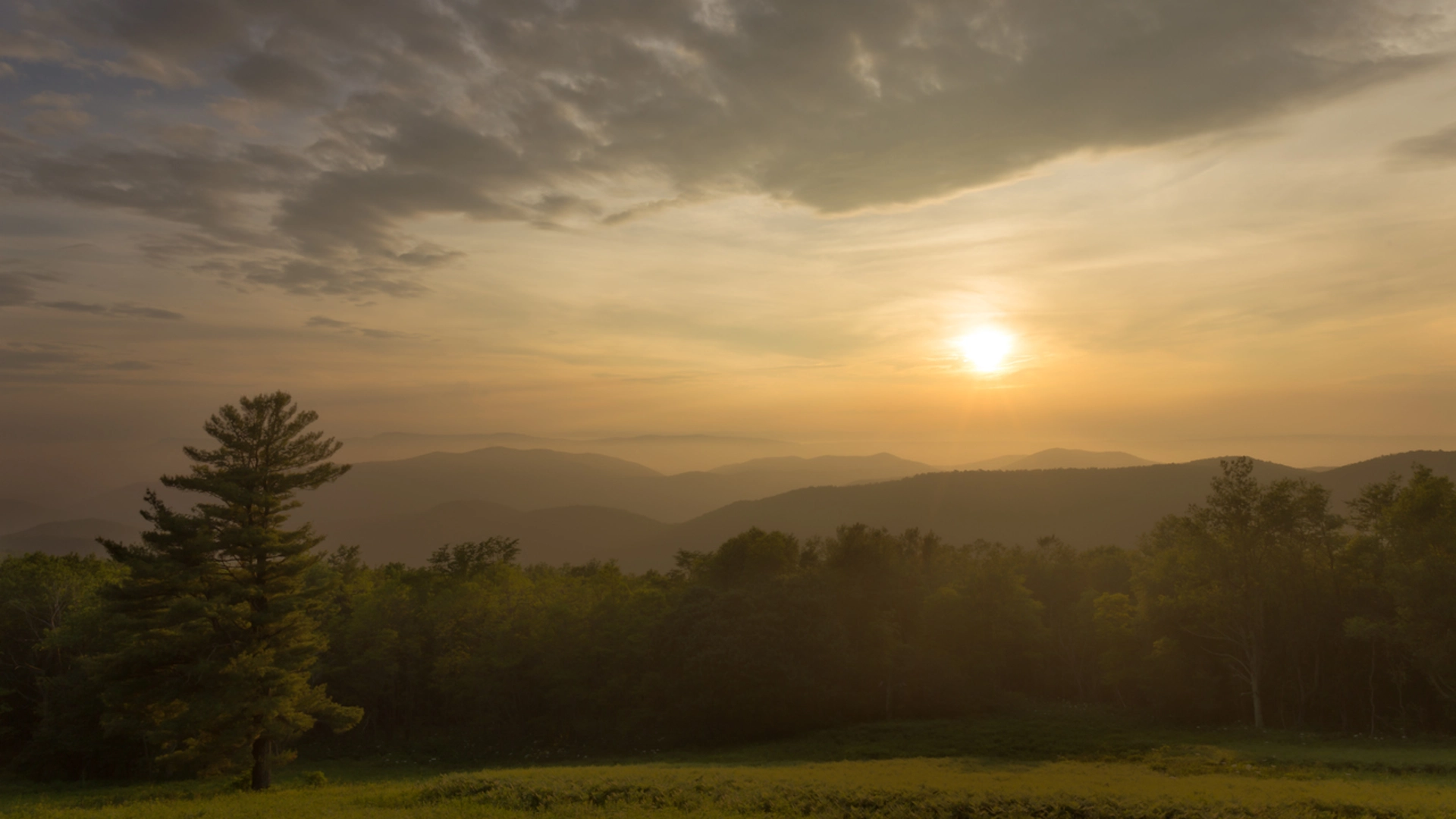 An image depicting the trail Laurel Prong, Rapidan Camp, Jones Mountain Trail via Appalachian Trail and its surrounding area.