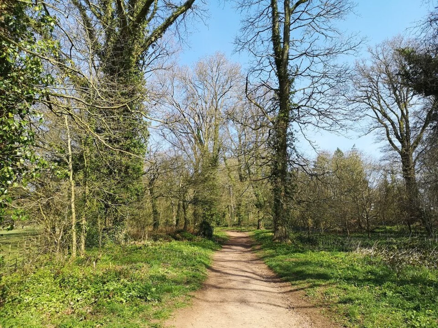 An image depicting the trail Knightshayes Loop and its surrounding area.